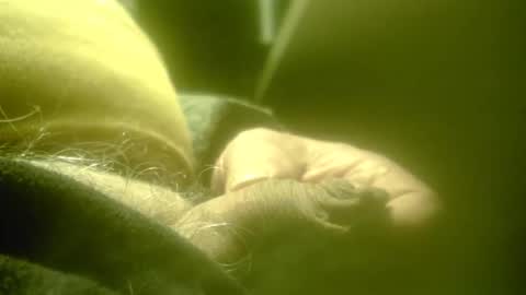 zaboski4 online show from 26, 2, 2026