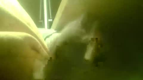 zaboski4 online show from 18, 3, 2026