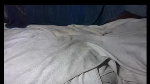 pollasucia13 online show from 30, 11, 2025