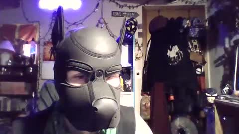 ZanePup online show from 6, 7, 2026