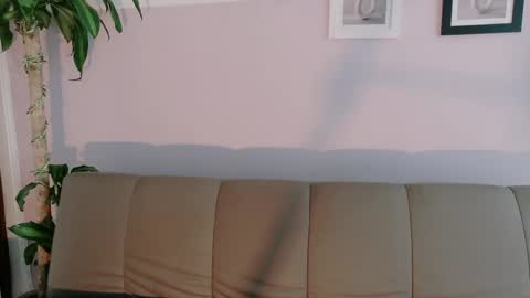 zara_fire online show from 4, 5, 2026