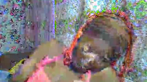 zarinamarlin online show from 3, 4, 2026