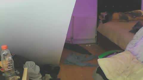 Snapshot of zedbooy chatting on 19, 12, 2024 Zed online show from 19, 12, 2024