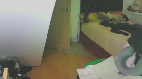 Snapshot of zedbooy chatting on 28, 12, 2024 Zed online show from 28, 12, 2024