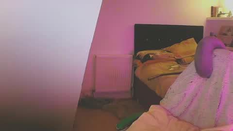 Snapshot of zedbooy chatting on 18, 1, 2025 Zed online show from 18, 1, 2025