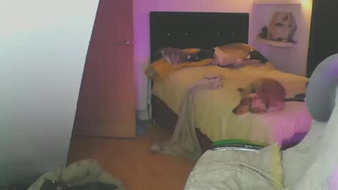 Snapshot of zedbooy chatting on 19, 1, 2025 Zed online show from 19, 1, 2025