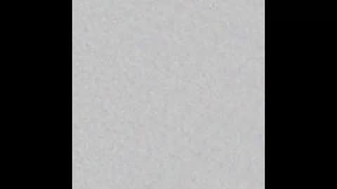 zhally_dee online show from 8, 3, 2025