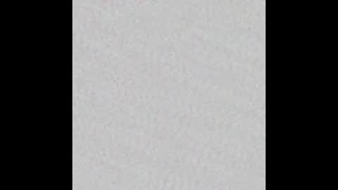 zhally_dee online show from 12, 3, 2025