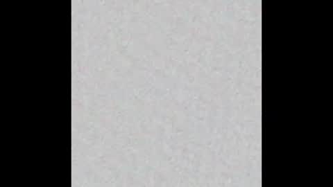 zhally_dee online show from 11, 10, 2025