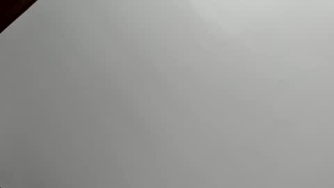 zia online show from 16, 12, 2025