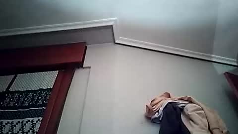 zigor13 online show from 24, 3, 2026