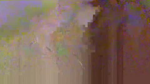 zobrythickock online show from 29, 10, 2025