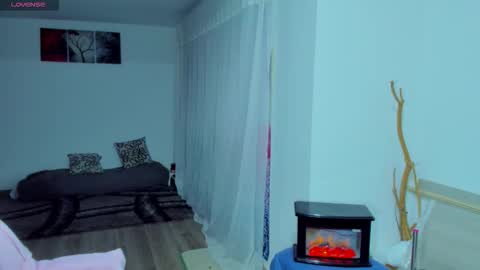 new count    online show from 6, 11, 2025