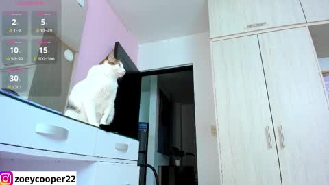 zoey  Independent model online show from 15, 11, 2025