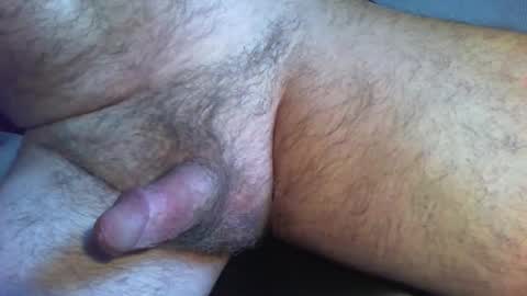 zokalo online show from 13, 2, 2026