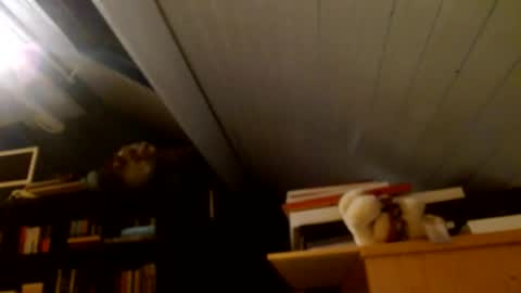 zolexthomas online show from 15, 1, 2025