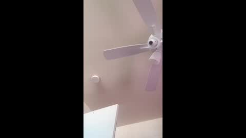 zooted12 online show from 19, 2, 2026