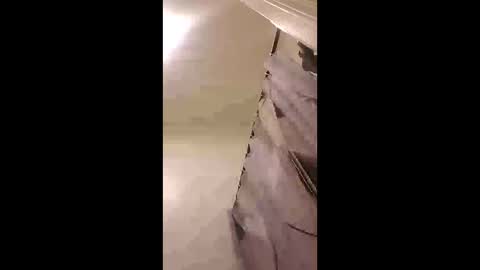 zooted12 online show from 24, 2, 2026