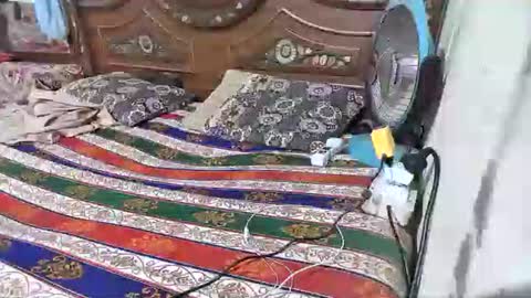 zoyakhan803 online show from 12, 2, 2026