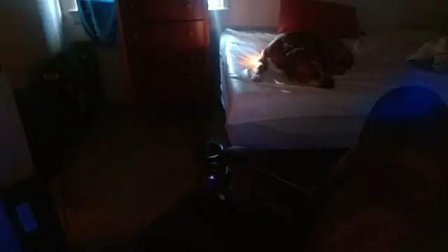 DADDY KANE8--- online show from 17, 1, 2026