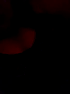 FerLu8 online show from 26, 2, 2026