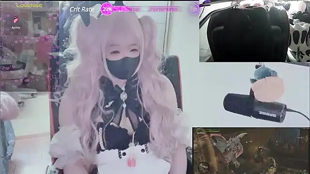 z23002 online show from 8, 3, 2025