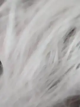 Linda Gregory online show from 9, 12, 2024