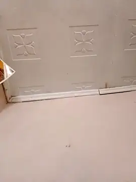 pretty-donna online show from 21, 10, 2025