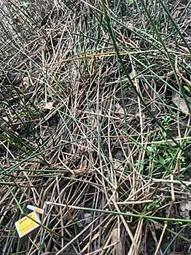 Yurt000 online show from 16, 9, 2025