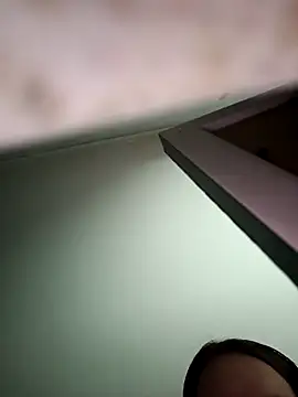 Snapshot of bruna_safadinhaa chatting on 13, 11, 2025 bruna safadinhaa online show from 13, 11, 2025