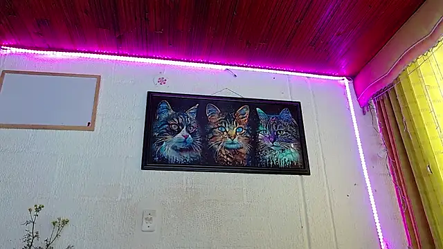 Niky 777 online show from 5, 2, 2025