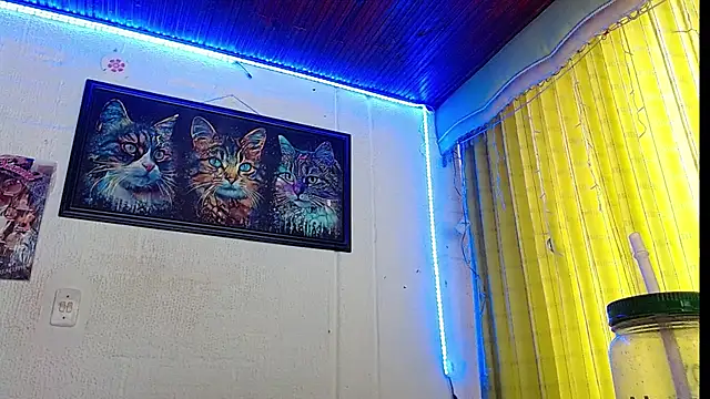 Niky 777 online show from 10, 2, 2025