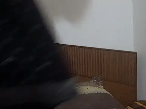 shekira99 online show from 1, 3, 2026