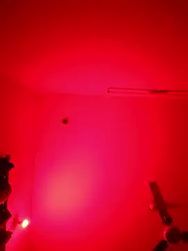 ZIMMY25 online show from 8, 1, 2026