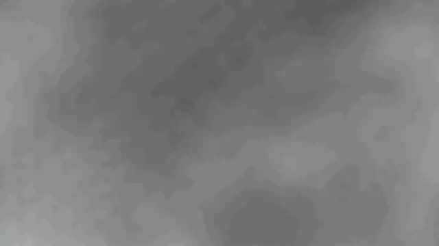 sclax38 online show from 1, 1, 2025