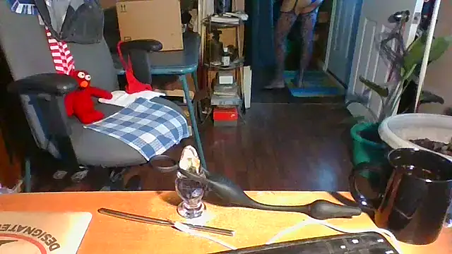 Daremeknot online show from 16, 12, 2024