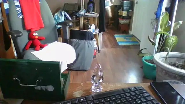 Daremeknot online show from 30, 12, 2024