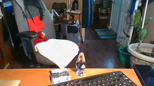 Daremeknot online show from 31, 12, 2024