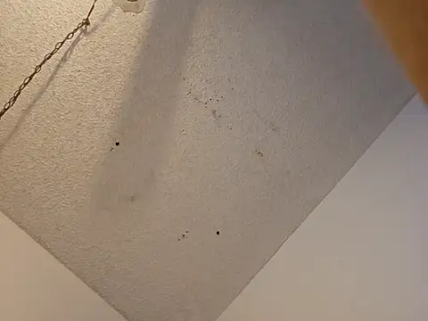 Snapshot of anyway2cum chatting on 19, 1, 2025 anyway2cum online show from 19, 1, 2025