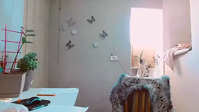 RosaJil online show from 12, 2, 2025