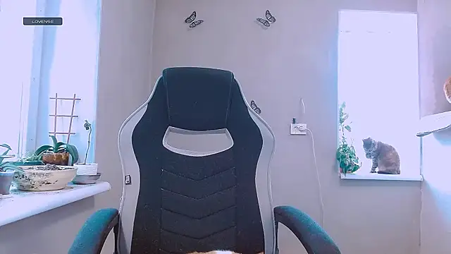 RosaJil online show from 11, 2, 2026