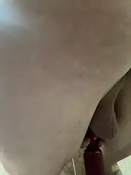 Followthepiper online show from 3, 2, 2025