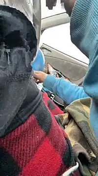 Followthepiper online show from 22, 3, 2025