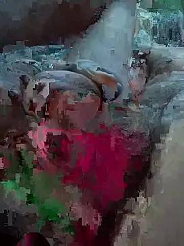 Followthepiper online show from 27, 2, 2026