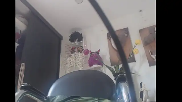 bardotbigcockts online show from 26, 2, 2025