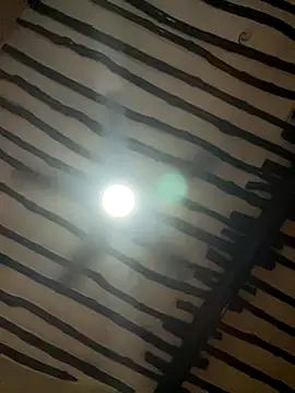 petiteebony 81 online show from 26, 11, 2025