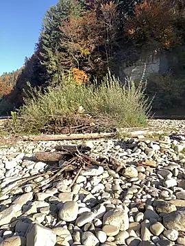 artXhibitor online show from 18, 10, 2025