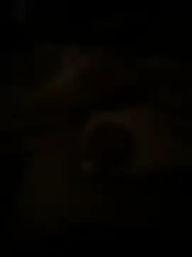 Andye  online show from 6, 4, 2026