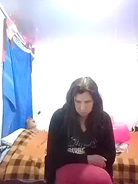 Cameron puppy online show from 10, 3, 2025