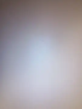 Treemandude online show from 8, 9, 2025